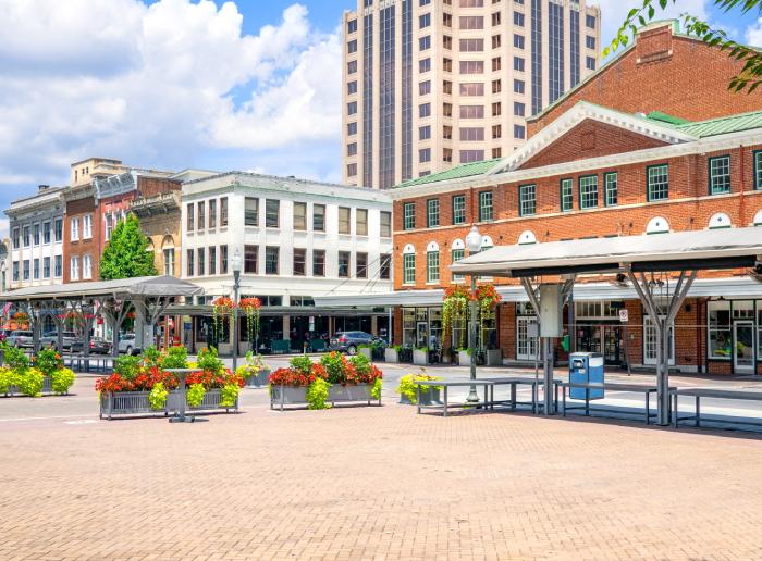 Roanoke Shopping Center With Businesses Who Hired Roanoke VA Movers